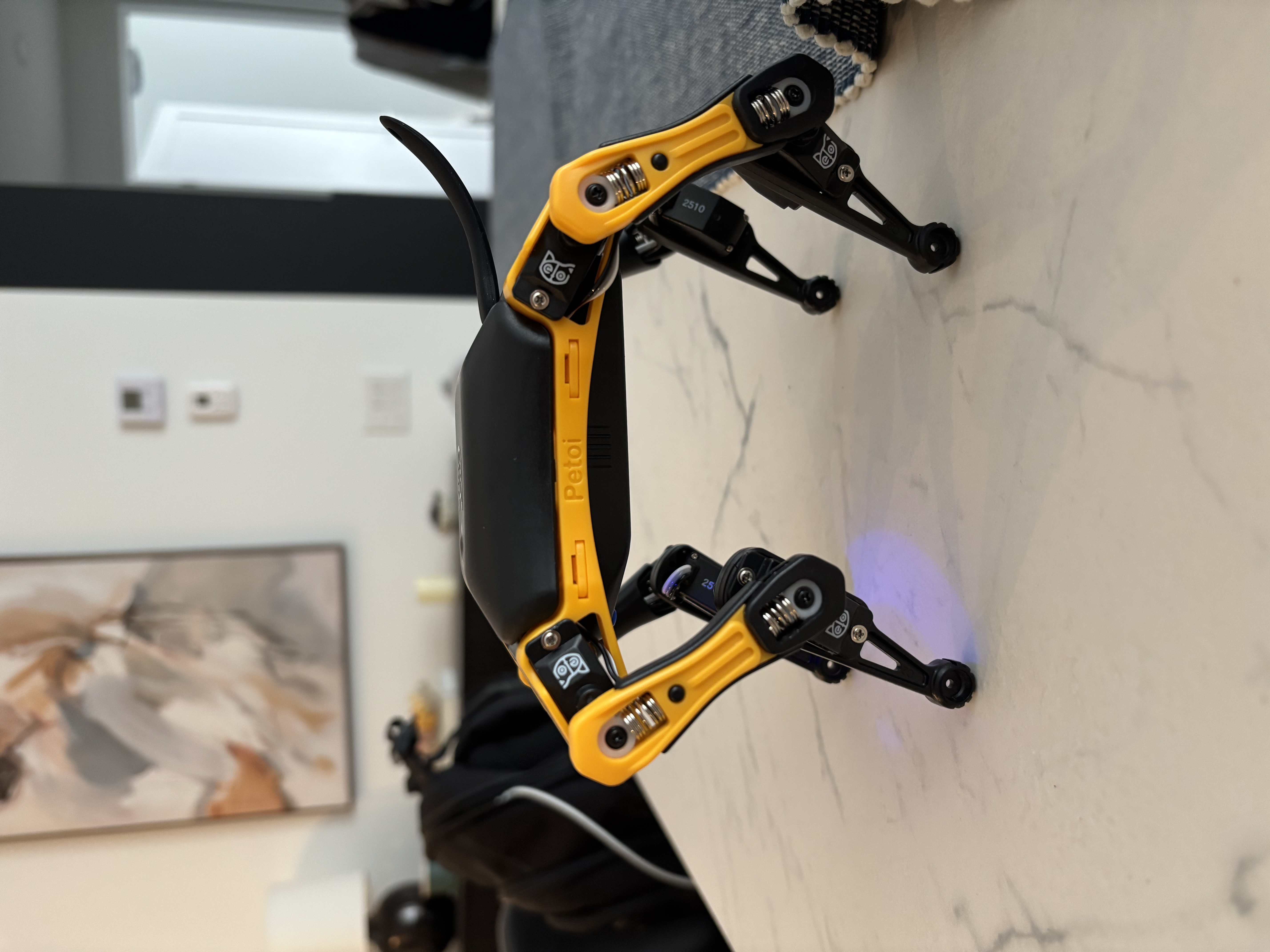 Bugs the robot dog, headless, mid-build